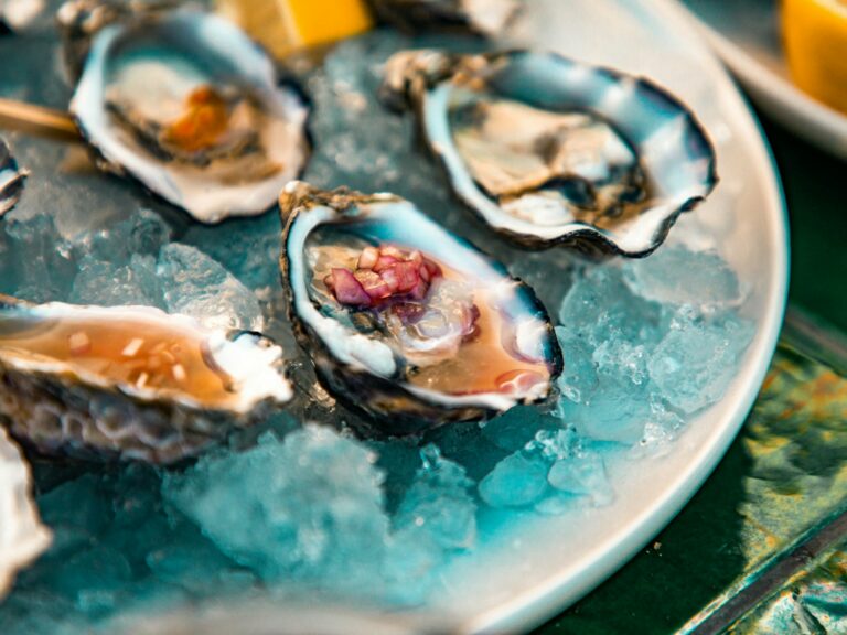 Plateau d'huîtres fraîches sur un lit de glace bleutée du restaurant la table de 3 à Bordeaux